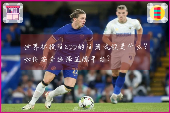 世界杯投注app的注册流程是什么？如何安全选择正规平台？