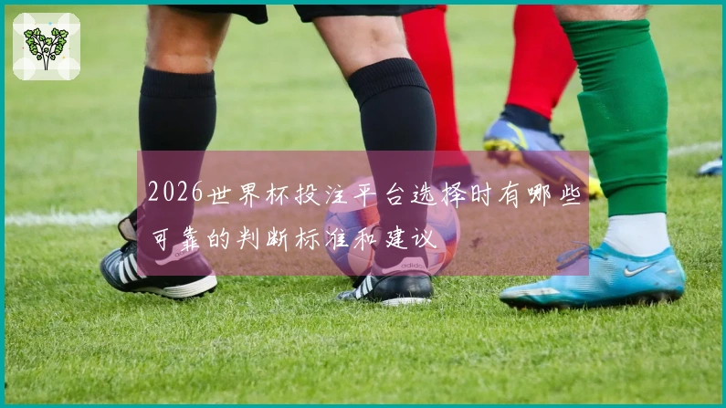 2026世界杯投注平台选择时有哪些可靠的判断标准和建议