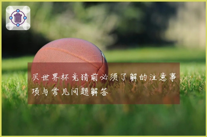 买世界杯竞猜前必须了解的注意事项与常见问题解答